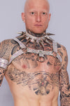 H-HARNESS CRYSTAL DIAMANT